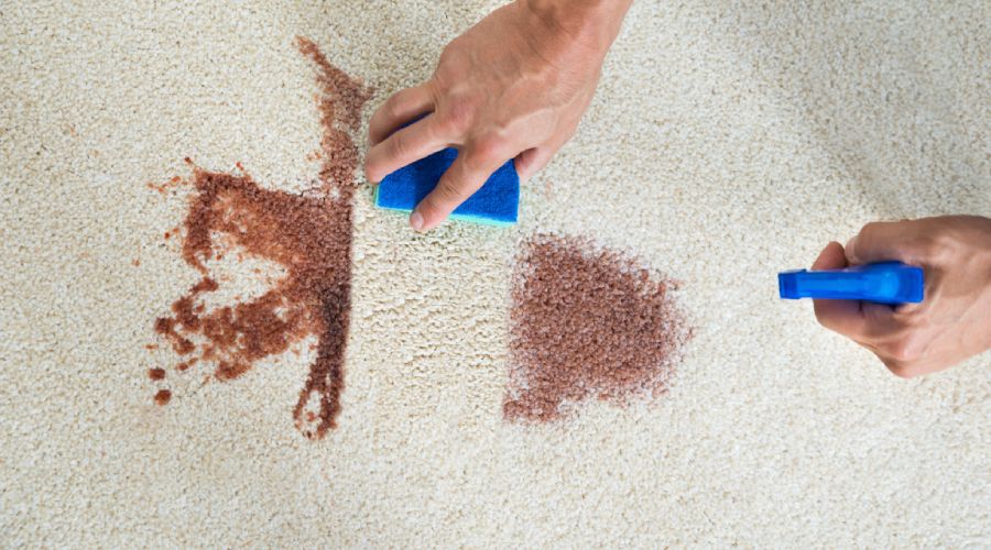 Features-Remove-Coffee-Stain-from-Carpet