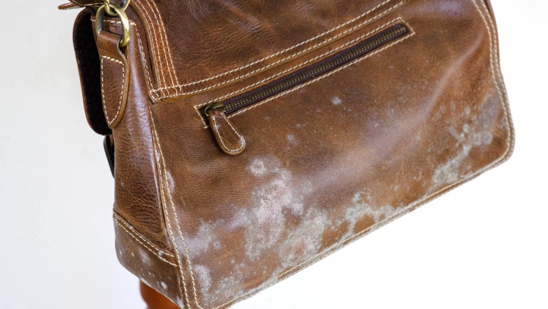 grease-stains-on-leather-purse
