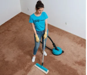 How To Clean Vomit From a Carpet – Simple & Easy Method