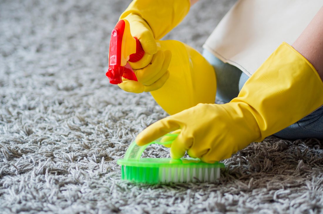 Carpet and Upholstery Cleaning